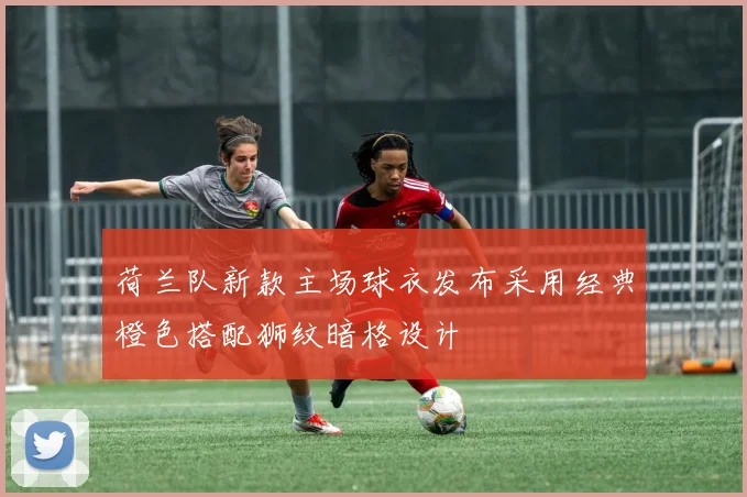 荷兰队新款主场球衣发布采用经典橙色搭配狮纹暗格设计