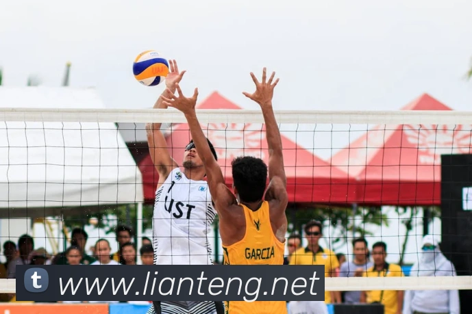 App Interface Preview